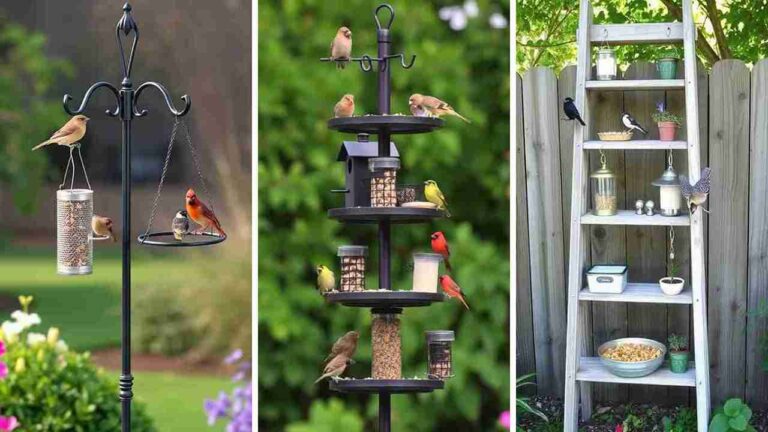 15 Bird Feeder Station Ideas to Attract Beautiful Birds to Your Yard