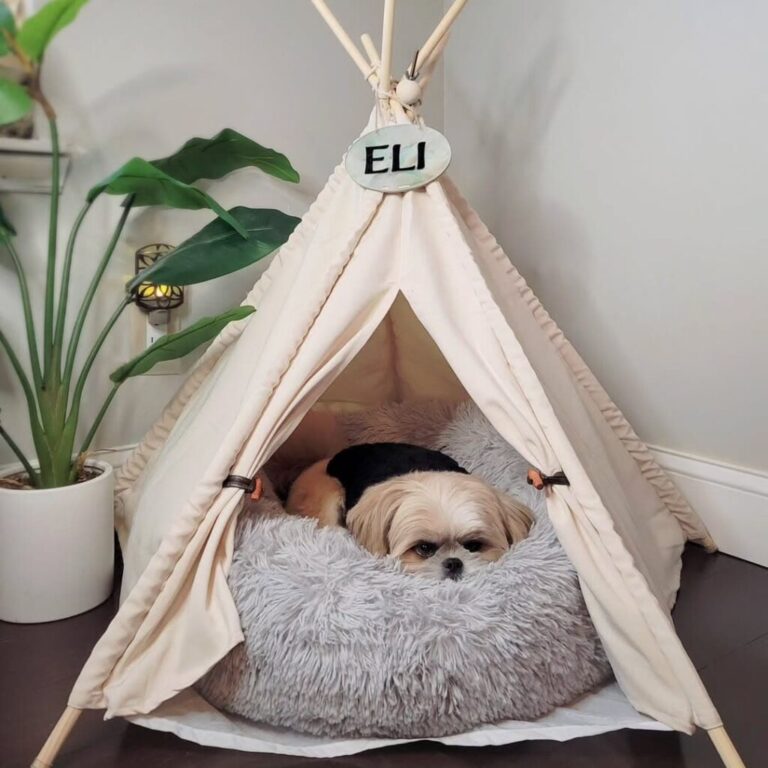 27+ Ultimate Dog Bedroom Ideas