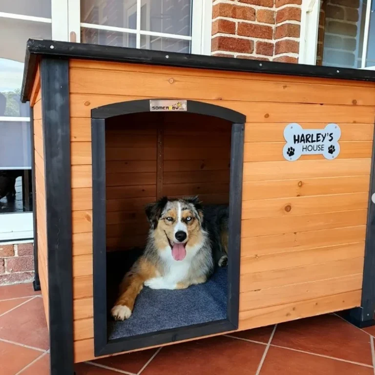 27+ Winter Dog House Ideas DIY