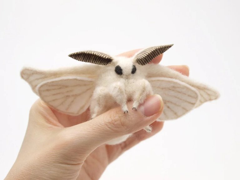 I Discovered 170 Creative Pet Moth Name Ideas That Feel Soft and Magical