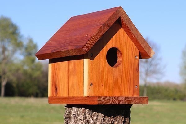 Classic Warm Cedar Birdhouse