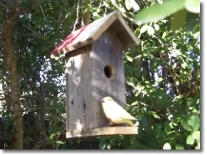 Weathered Tall Hanging Birdhouse