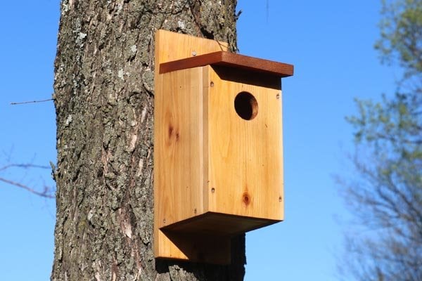 Slanted Roof Tree Mount Birdhouse