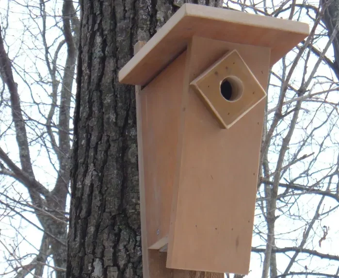 Tapered Guarded Entry Birdhouse