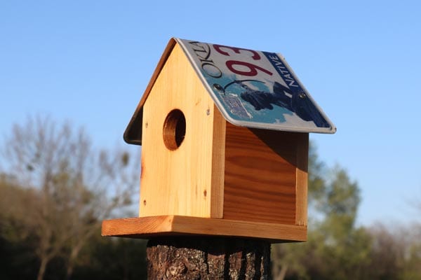 License Plate Roof Birdhouse