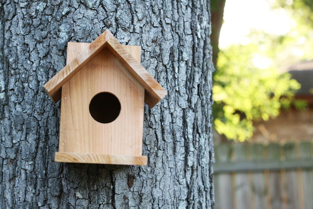 Simple A Line Cedar Birdhouse