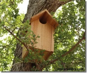 Overhanging Roof Tree Mount Birdhouse