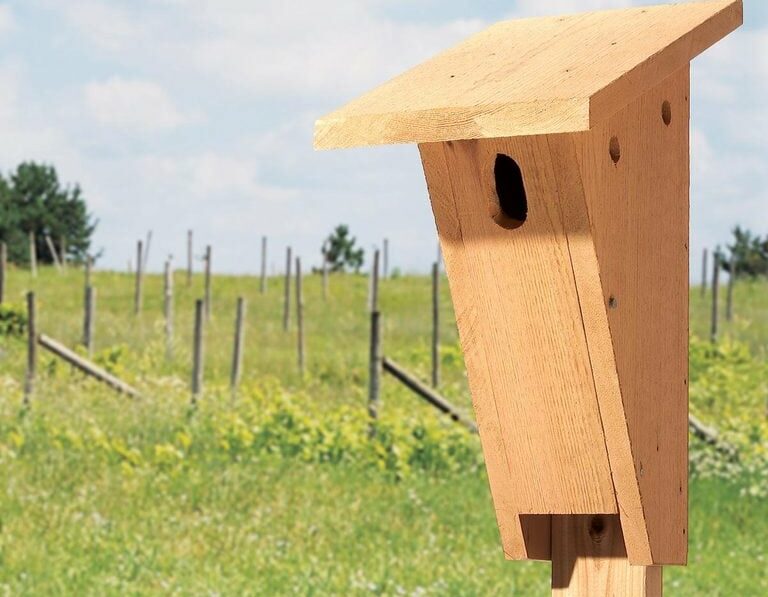 Modern Slanted Vineyard Birdhouse