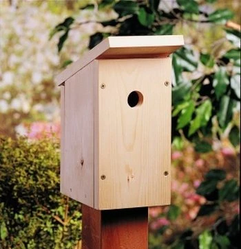 Minimalist Smooth Pine Birdhouse